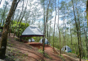 Pine Encamp with Pool by Voye Homes